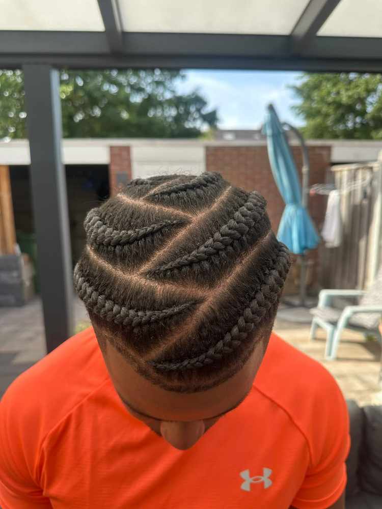Zigzag back, seen from above